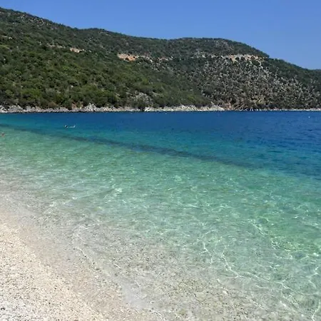 Kardelen موجلا
