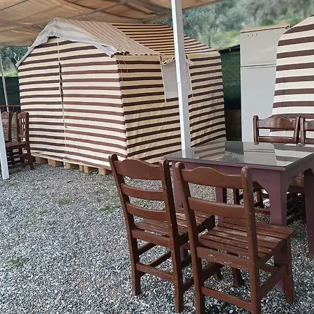 Kardelen موجلا