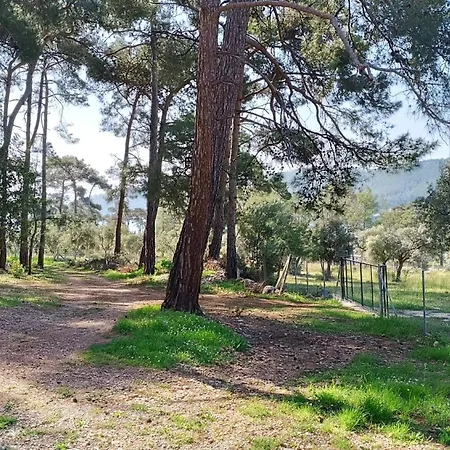 Kardelen * Muğla