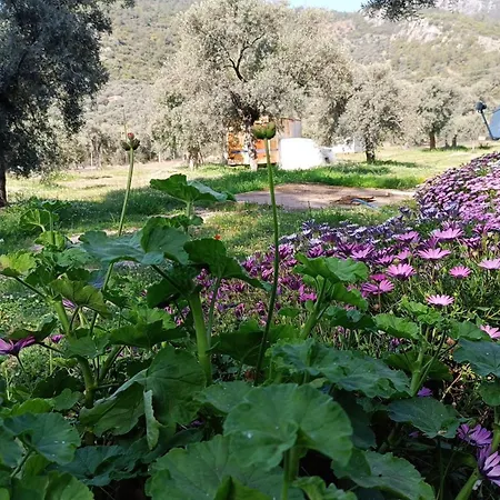 Kardelen Lüks kamp alanı *