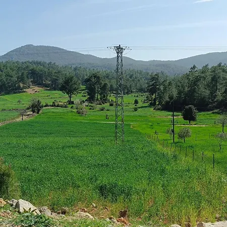 Kardelen * Muğla
