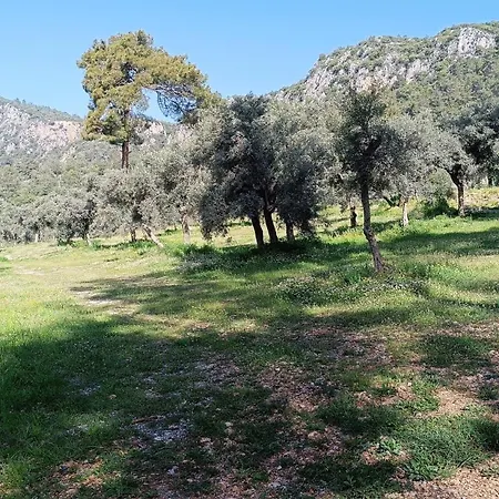 خيمة فخمة Kardelen موجلا