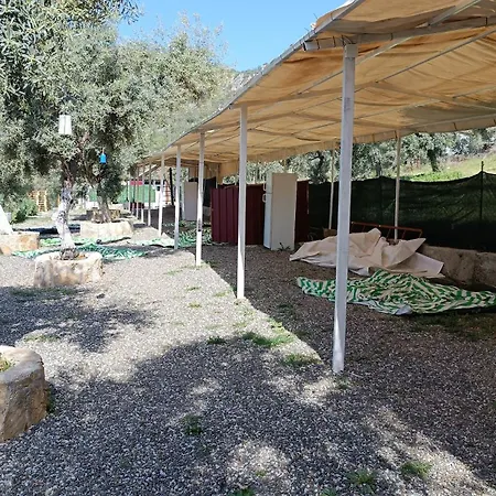 Kardelen