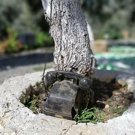 Kardelen موجلا