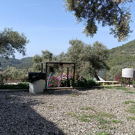 Kardelen