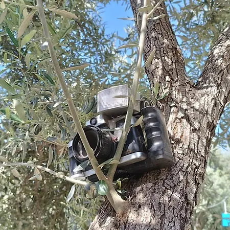 Kardelen * Muğla