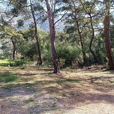Kardelen Lüks kamp alanı