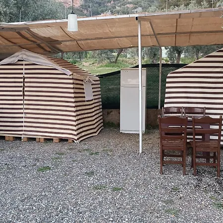 Kardelen *