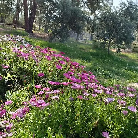 Luxuszelt Kardelen Muğla