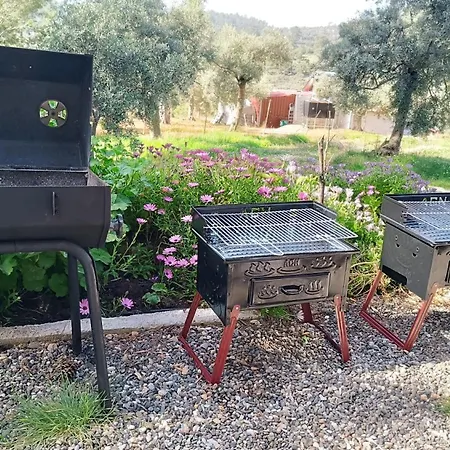 Kardelen *