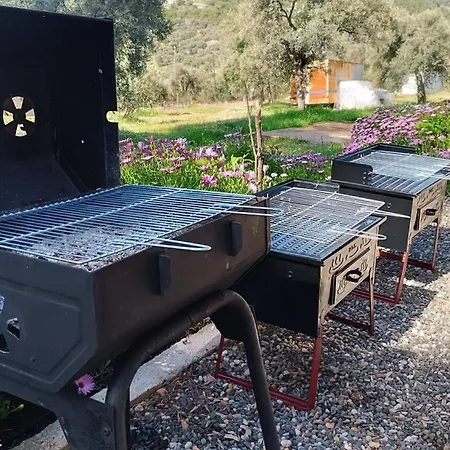 Kardelen * Muğla