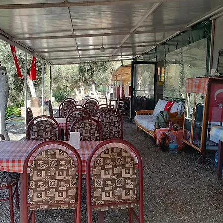 Kardelen * Muğla